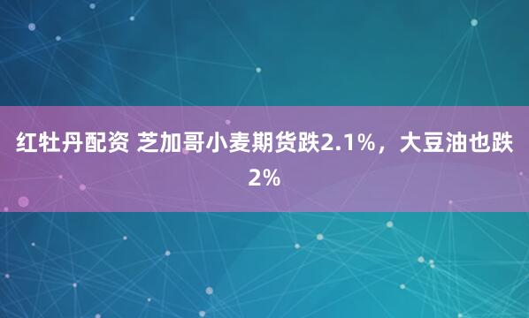 红牡丹配资 芝加哥小麦期货跌2.1%，大豆油也跌2%